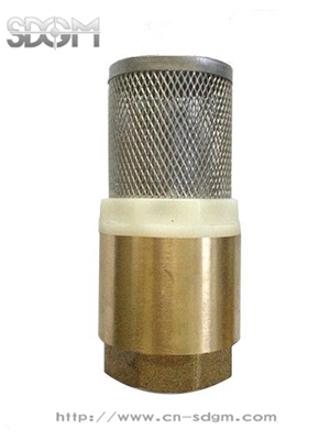 Brass Bottom Valve