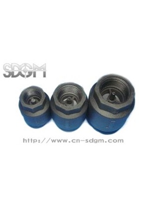 Nylon Spring Check Valve